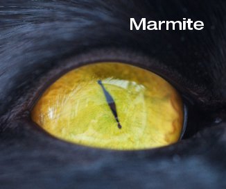 Marmite book cover