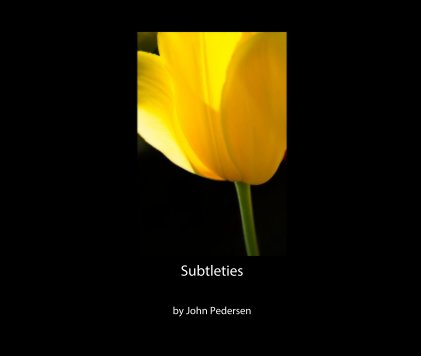 Subtleties book cover
