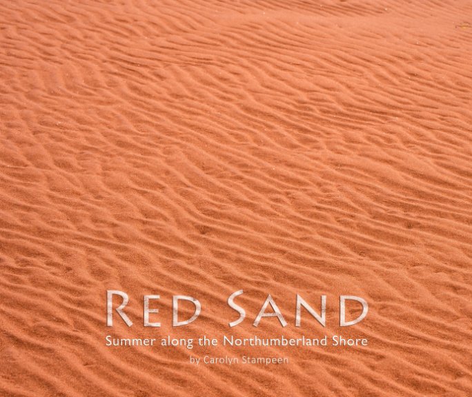 View Red Sand by Carolyn Stampeen