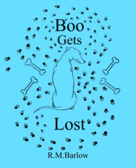 Boo Gets Lost book cover