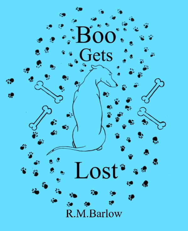 View Boo Gets Lost by R M Barlow