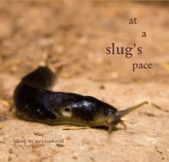 at a slug's pace book cover
