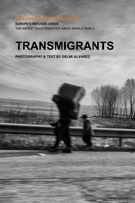 View Transmigrants by Delmi Alvarez