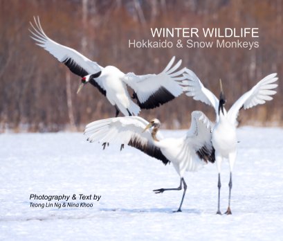 Winter Wildlife - Hokkaido & Snow Monkeys book cover