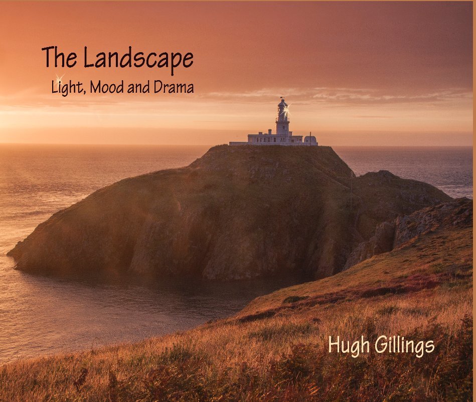 View The Landscape by Hugh Gillings
