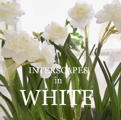 INTERSCAPES in WHITE book cover