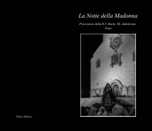 La Notte della Madonna book cover