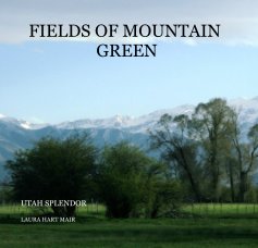 FIELDS OF MOUNTAIN GREEN book cover