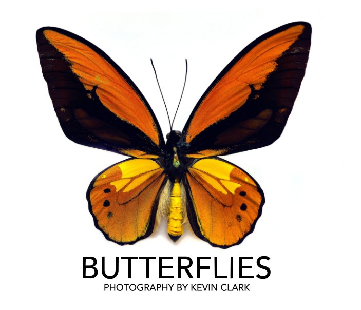 Bekijk Butterflies op Kevin Clark
