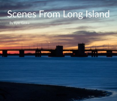 Scenes From Long Island book cover