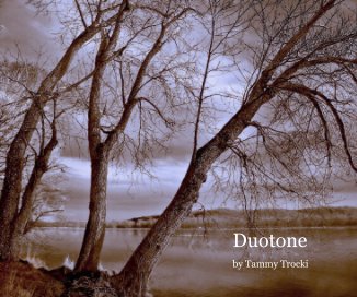 Duotone book cover