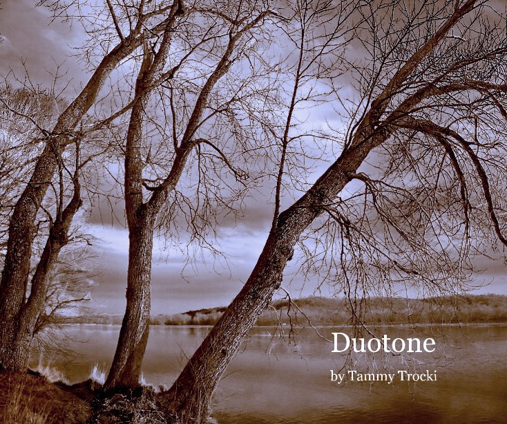 View Duotone by Tammy Trocki