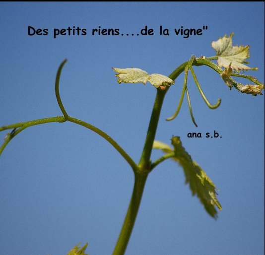 View Des petits riens de la vigne by ana s b