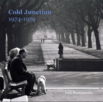 Cold Junction 1974-1979 book cover