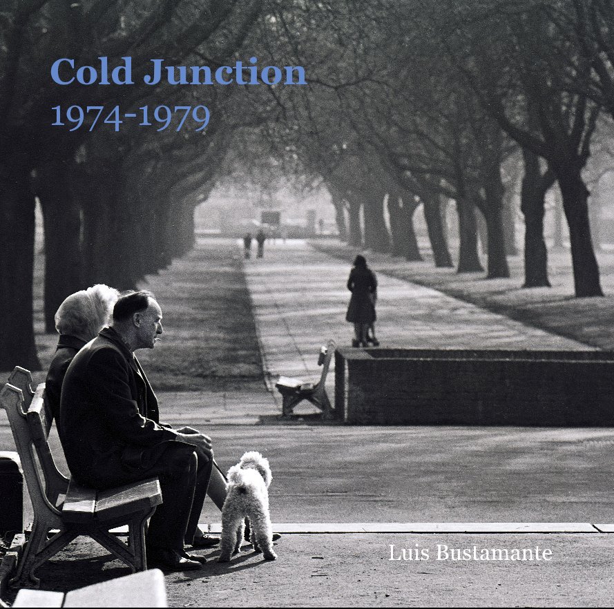 View Cold Junction 1974-1979 by Luis Bustamante