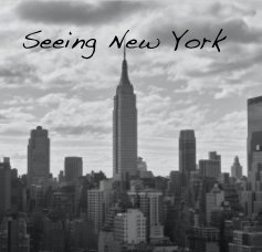 Seeing New York book cover