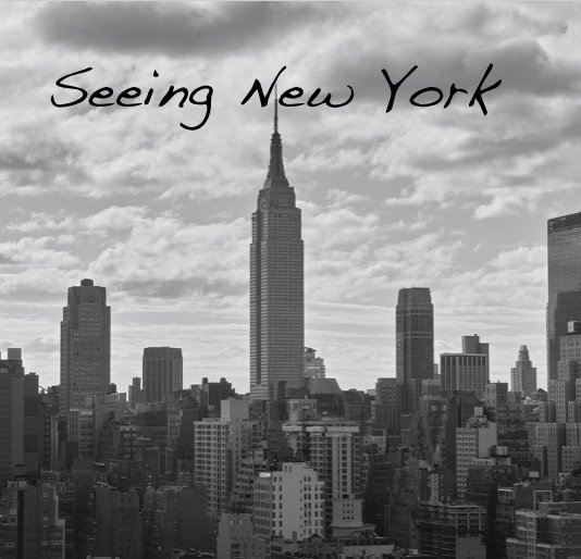 View Seeing New York by Thomas Bier