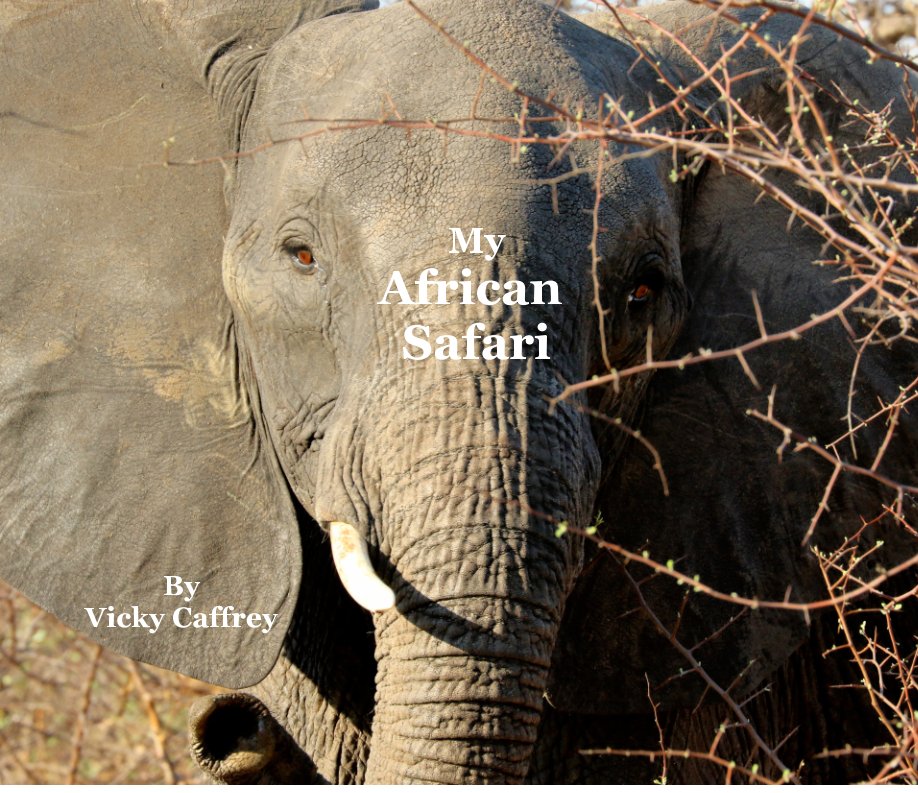 Ver My African Safari por Vicky Caffrey