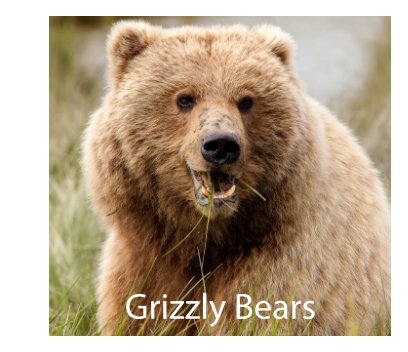 Grizzly Bears book cover