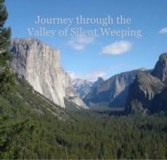 Journey through the Valley of Silent Weeping book cover