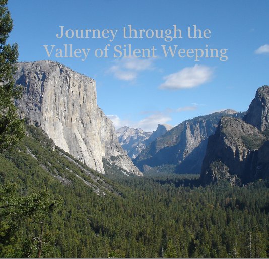 View Journey through the Valley of Silent Weeping by Cindy Phillips
