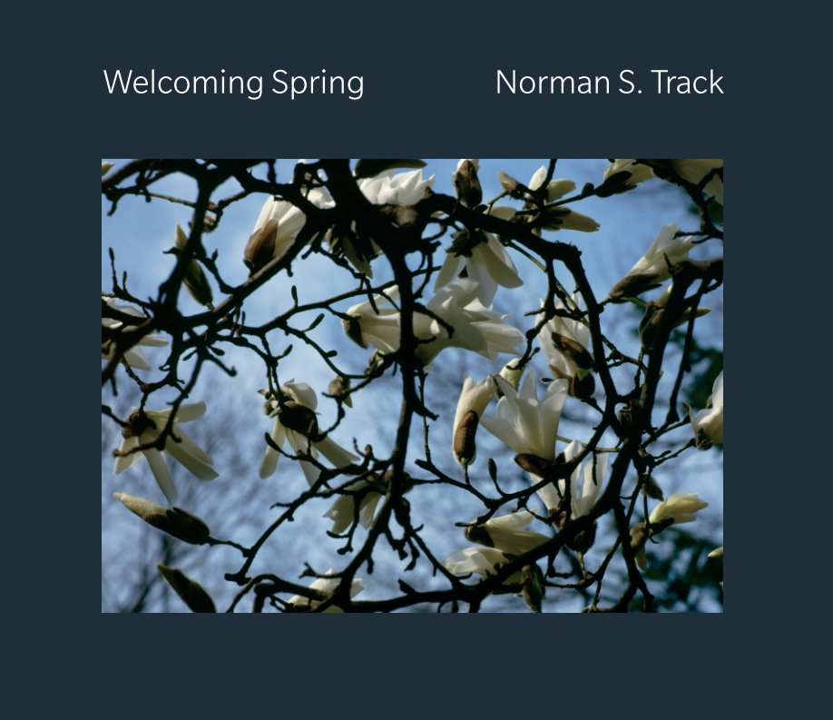 View Welcoming Spring by Norman S. Track