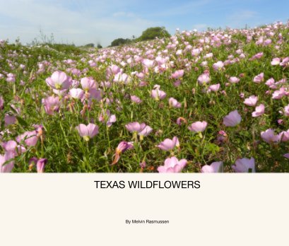 TEXAS WILDFLOWERS book cover