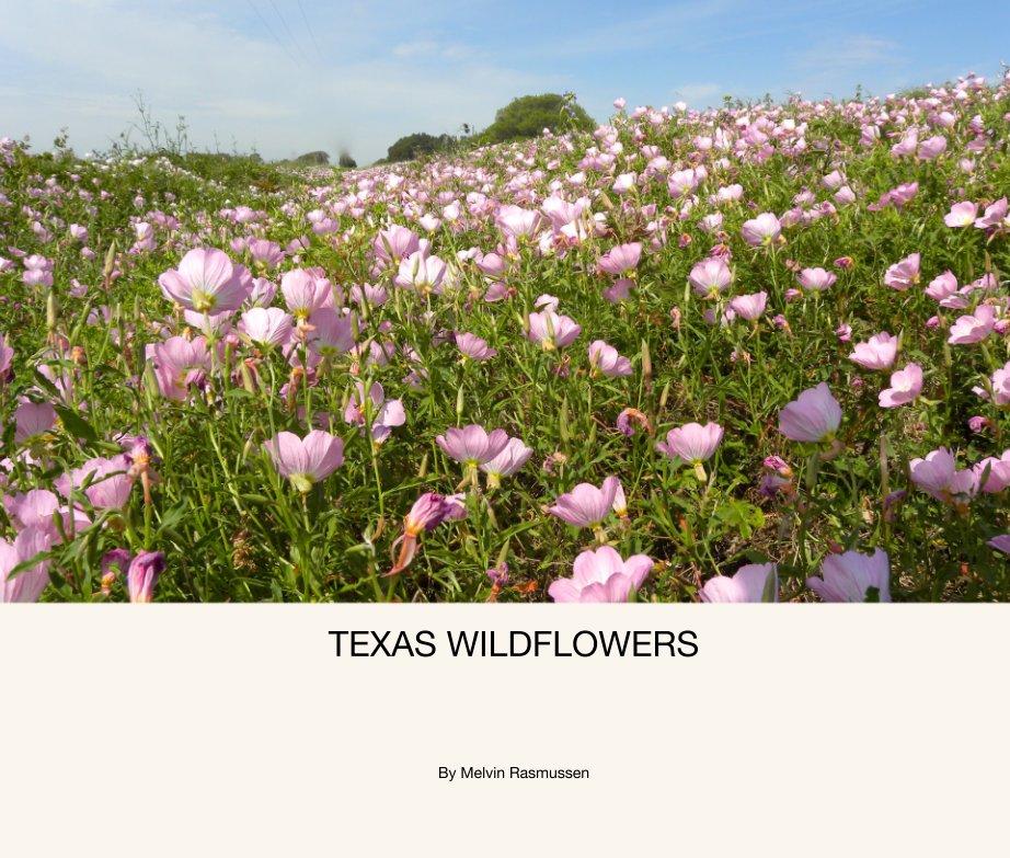 View TEXAS WILDFLOWERS by Melvin Rasmussen