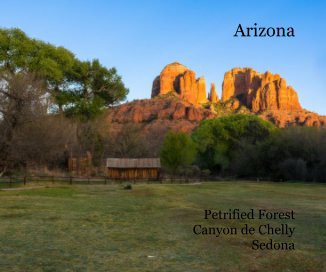 Arizona: Petrified Forest, Canyon de Chelly, Sedona book cover