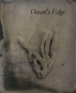 Ocean's Edge book cover