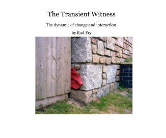 The Transient Witness book cover