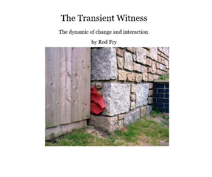 View The Transient Witness by Rod Fry
