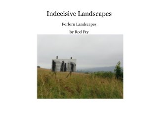 Indecisive Landscapes book cover