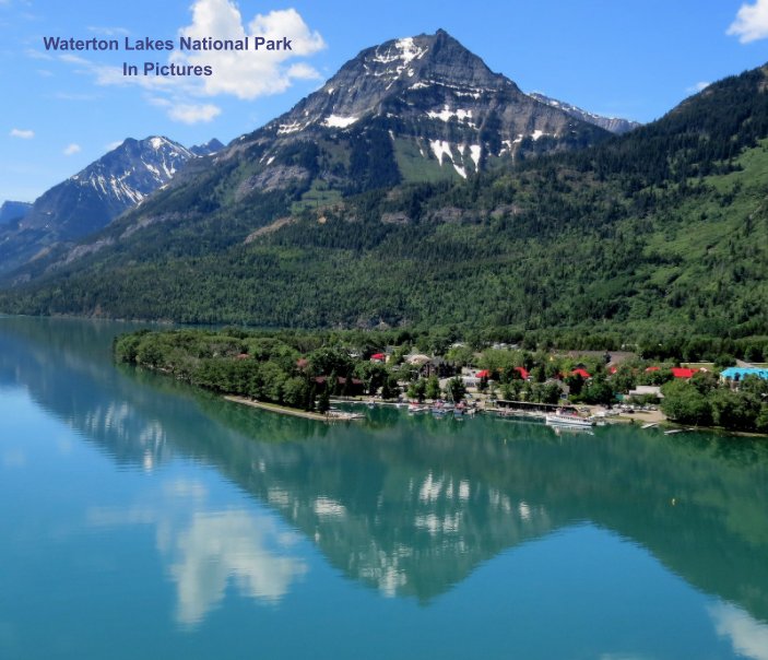 View Waterton Lakes National Park by Judy Wright