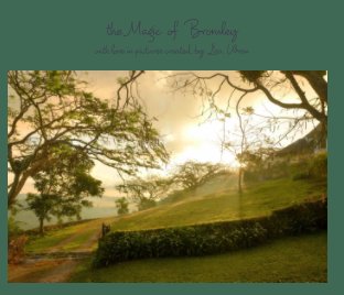 The Magic of Bromley book cover