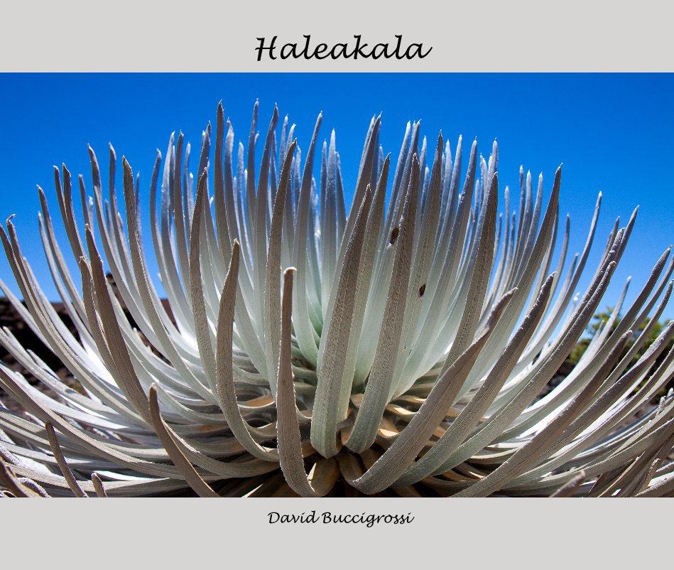 View Haleakala by David Buccigrossi