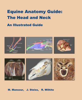 Equine Anatomy Guide: The Head and Neck book cover