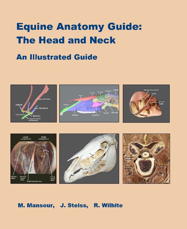 Visualizza Equine Anatomy Guide: The Head and Neck di M Mansour, J Steiss, R Wilhite