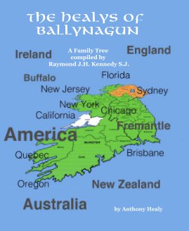 The Healys of Ballynagun book cover