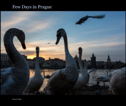 Few Days in Prague book cover