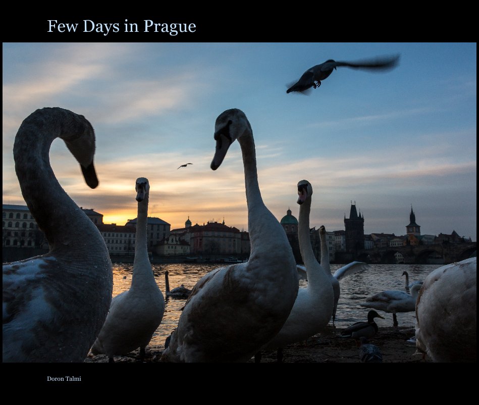 View Few Days in Prague by Doron Talmi
