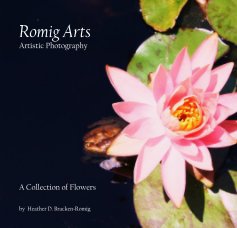 Romig Arts Artistic Photography book cover