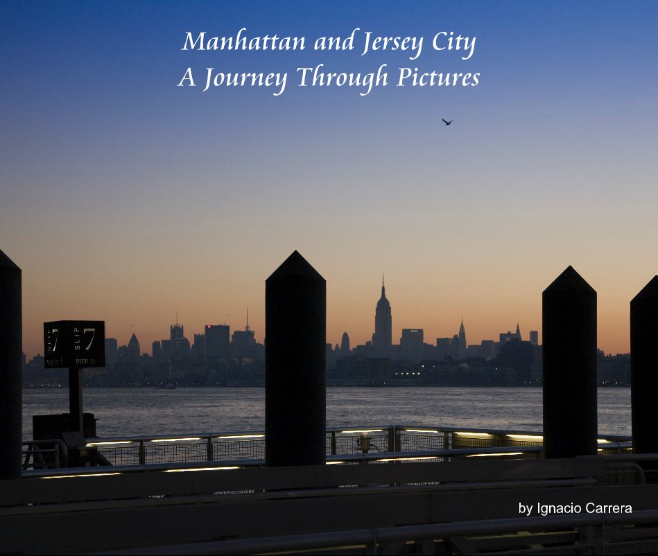 View Manhattan and Jersey City - A Journey Through Pictures by Ignacio Carrera