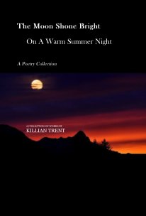 The Moon Shone Bright On A Warm Summer Night book cover