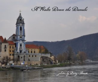 A Waltz Down the Danube book cover