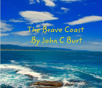 The Brave Coast book cover