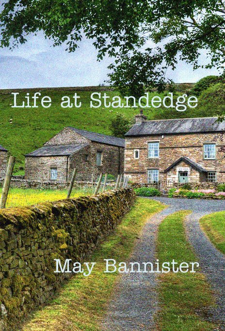 View Life at Standedge by May Bannister