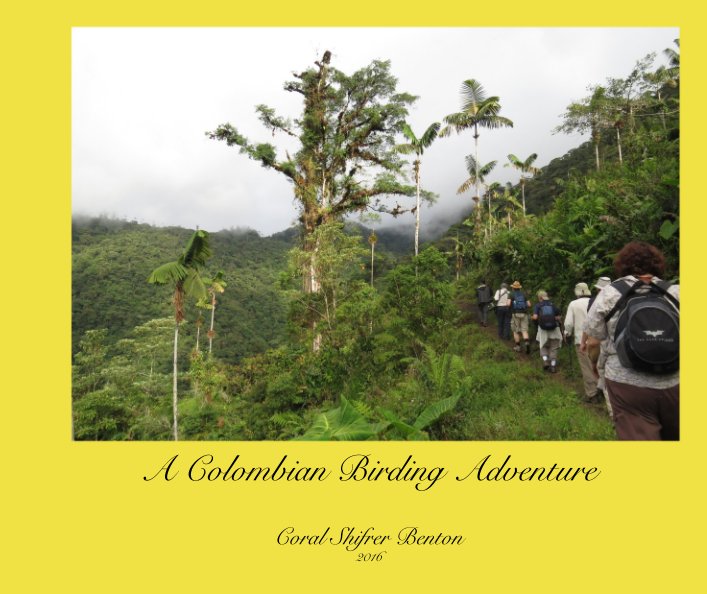 View A Colombian Birding Adventure by Coral Shifrer Benton 2016