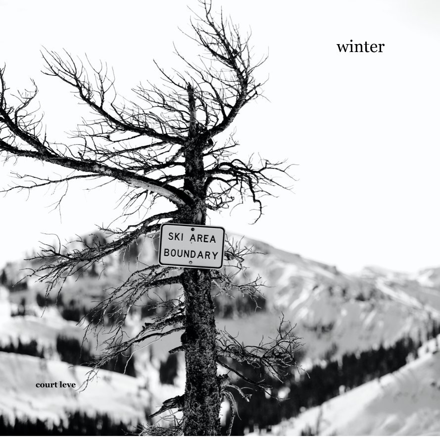 View winter by court leve