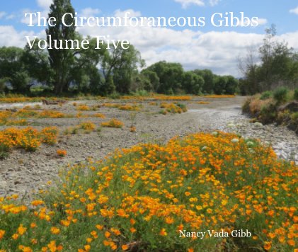 The Circumforaneous Gibbs, Volume Five book cover